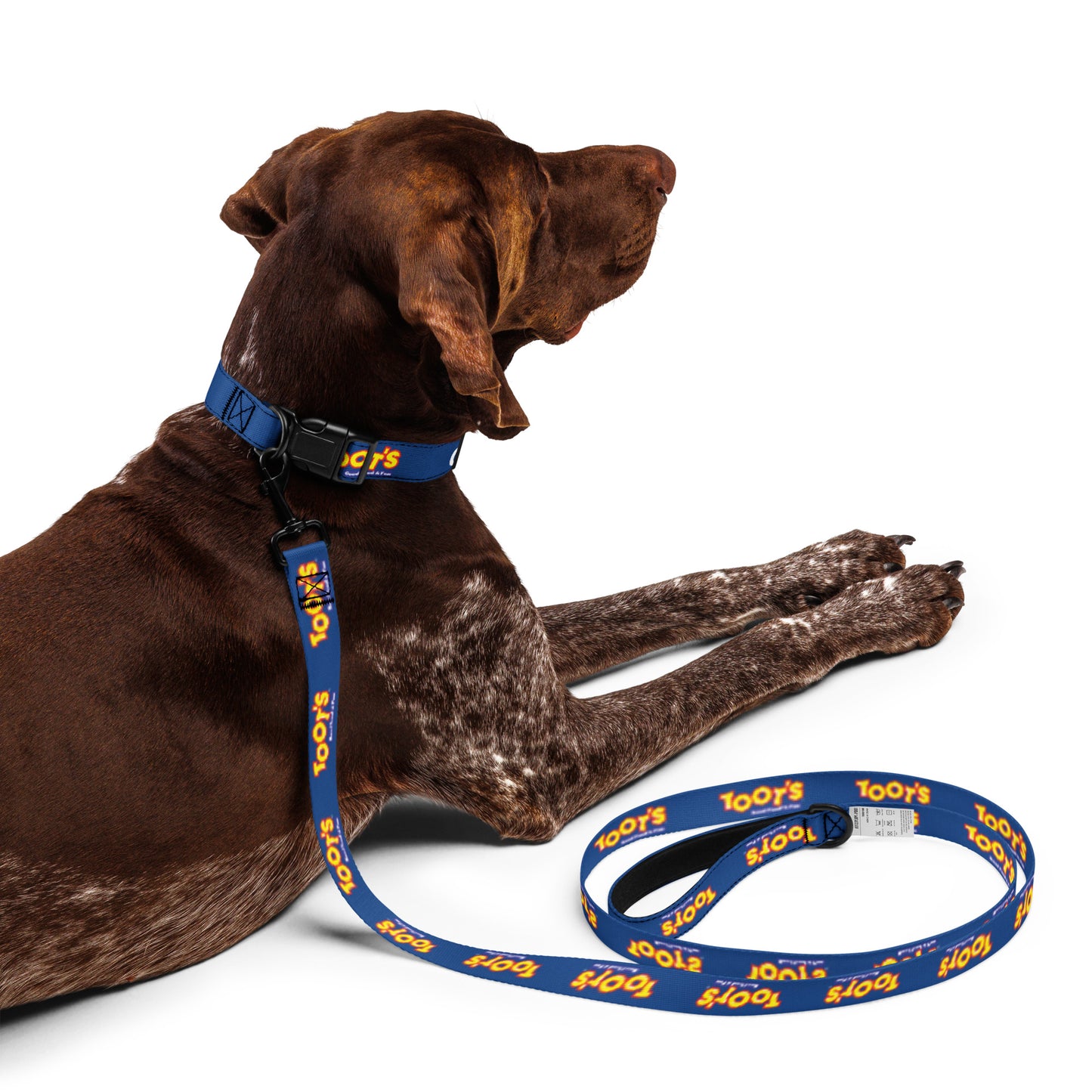 Toot's Large Pet Collar & Leash